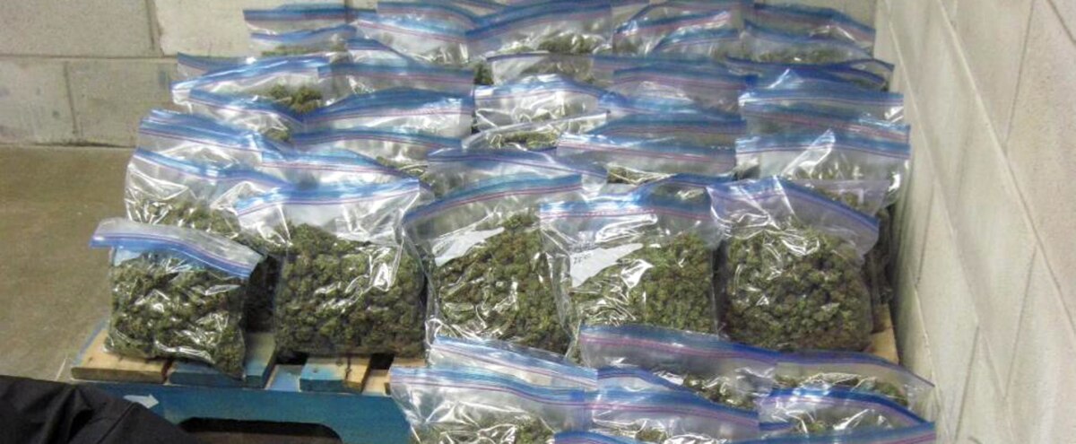Salaberry-de-Valleyfield: saisie de 21 kg de cannabis - Le Journal de Montréal