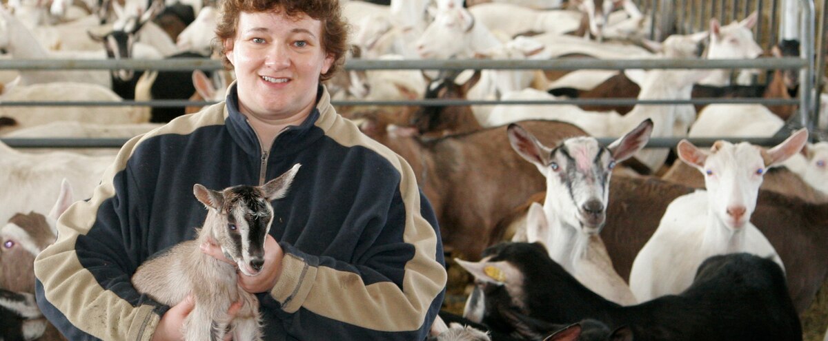 Une famille unie par les chèvres et le fromage - Le Journal de Montréal