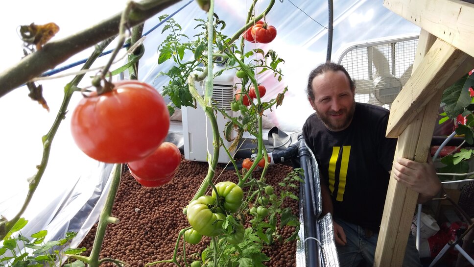 L’agronome Vincent Leblanc réussit à faire pousser des tomates en plein hiver sans débourser un sou d’électricité.
