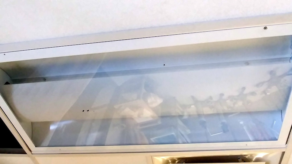Plusieurs mouches ont été retrouvées dans la lumière au plafond à la suite de plaintes de proches d’un patient en décembre dernier.